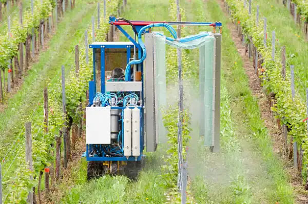 Boosting Berry Production