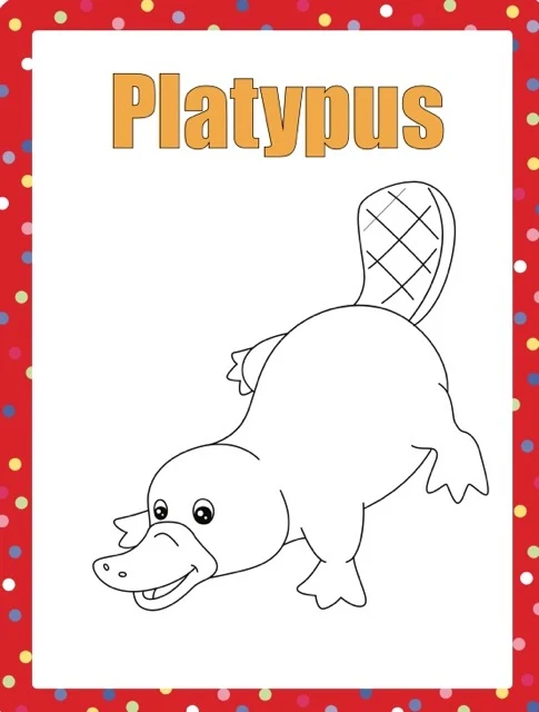 100 Animals to Color