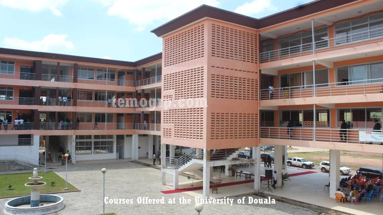All Courses Offered at the University of Douala (Undergraduate and Professional Masters)