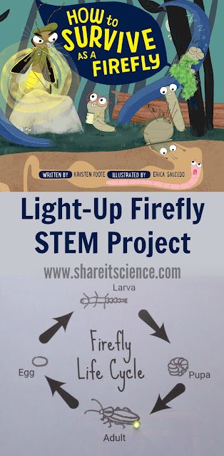 Firefly Paper Circuits STEM Activity