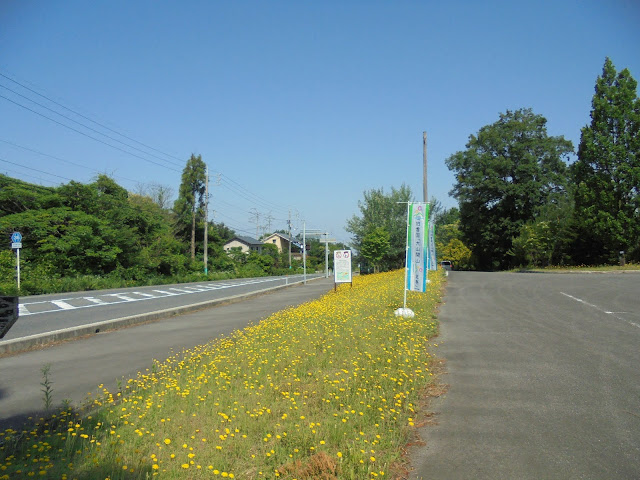 草花に彩られたガーデンプレイスの駐車場の風景