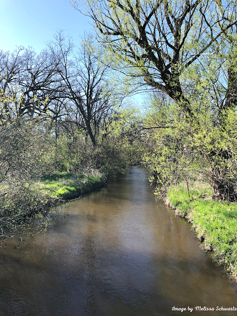 Tyler Creek mosies through woodlands full of bright and lively spring green  foliage at Eagles Forest Preserve in Elgin, Illinois.