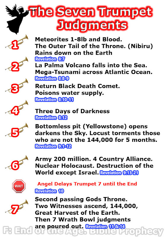 seven trumpet judgements angels, nibiru passing, fiery hail and blood, la palma volcano collapse, return black death comet wormwood, three days nights darkness, sun moon stars, yellowstone erupts, locust 144,000, 5 months, nuclear holocaust, russia, china, north korea, iran, NATO, 200 million army, serpant, 13 months, 1/3 population, seventh angels delayed, little scroll, eat, second passing nibiru throne, trumpet, jesus rapture harvest dead, sickle still alive, Great hail,  Pastor Prophet Justin Roberts - End of the age bible prophecy