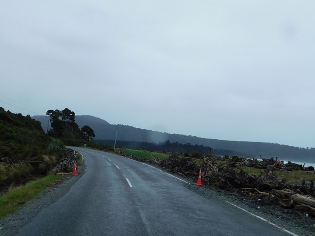 DSCN5147