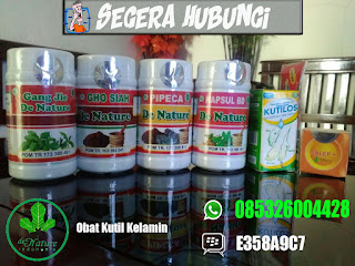 obat kutil kelamin