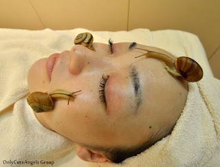 Snail_Spa_In_Japan