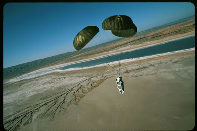 Extreme Skydivers