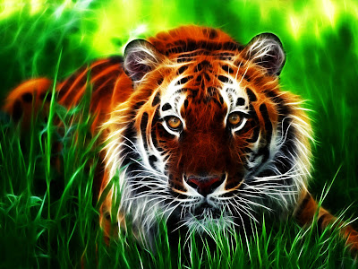Gallery Tiger 3D Wallpapers