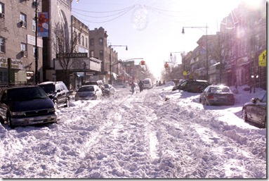 Brooklyn Blizzard