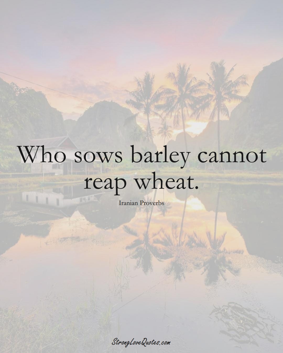 Who sows barley cannot reap wheat. (Iranian Sayings);  #MiddleEasternSayings