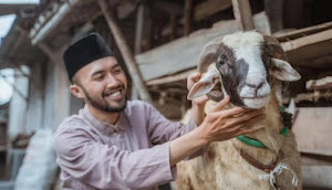 Hikmah Berkurban di Hari Raya Idul Adha