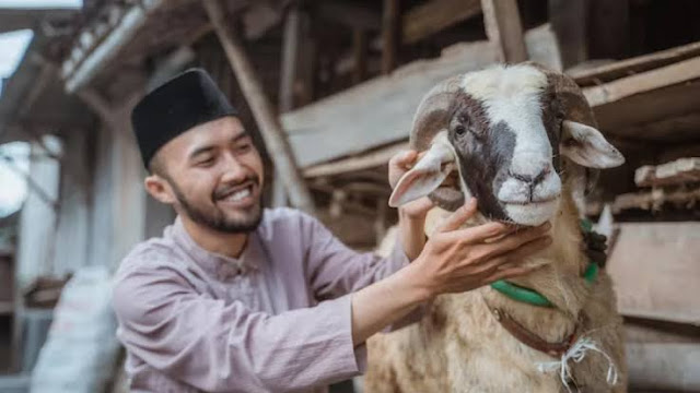 Hikmah Berkurban di Hari Raya Idul Adha