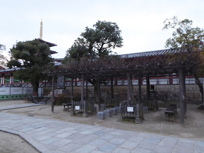 四天王寺境内 藤の木 ベンチ