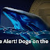 Whale Alert! Doge on the Move: Mystery Millions Send Shivers Down Crypto Spine!