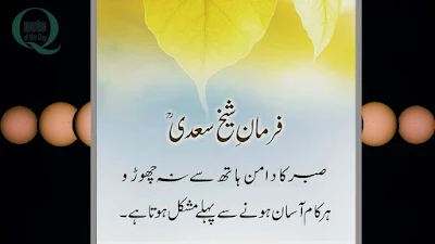 Islamic Quotes in Urdu