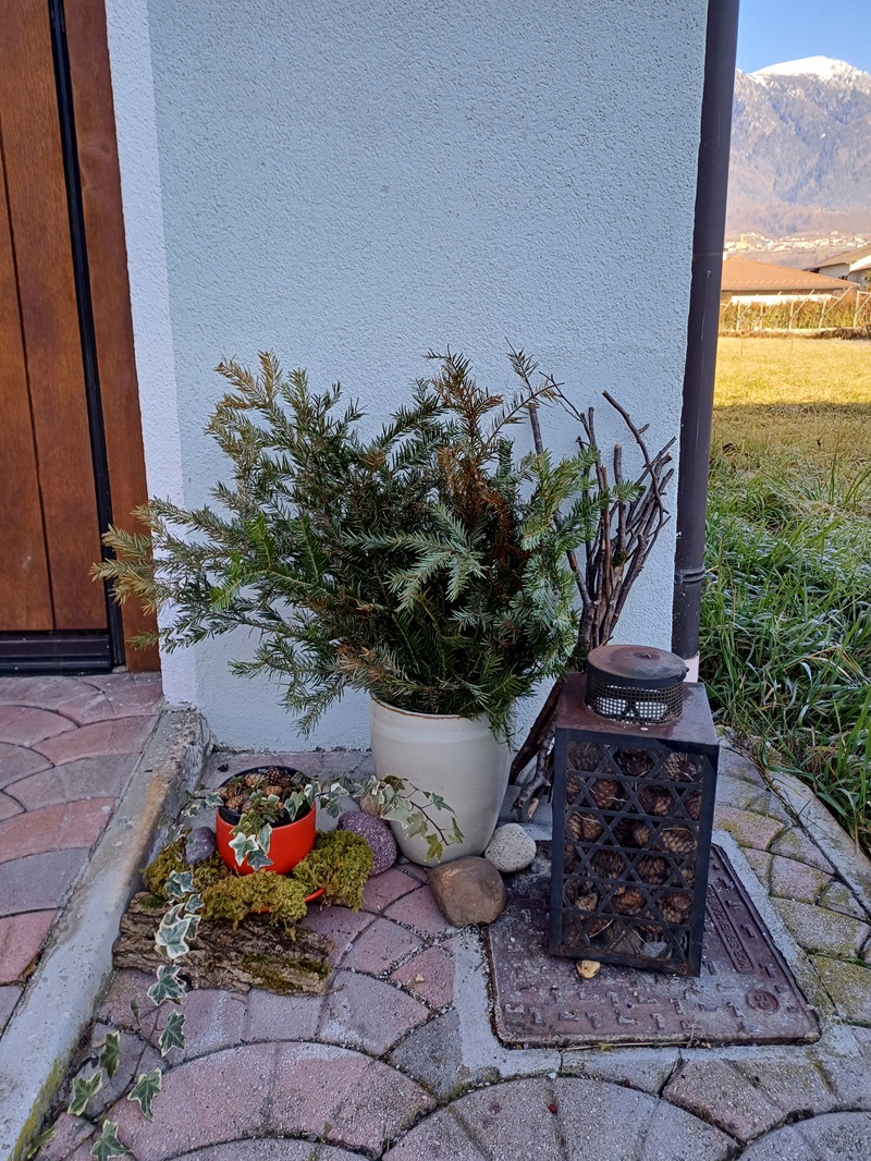 Idee per piante fuori la porta in inverno