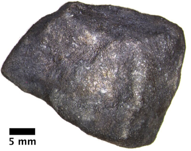 'Fireball' meteorite contains pristine extraterrestrial organic compounds