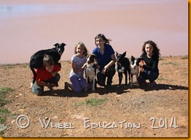 Superdogs