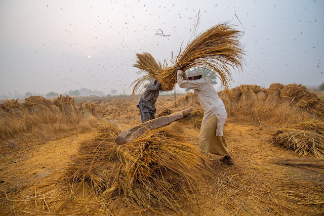 Beautiful Punjab