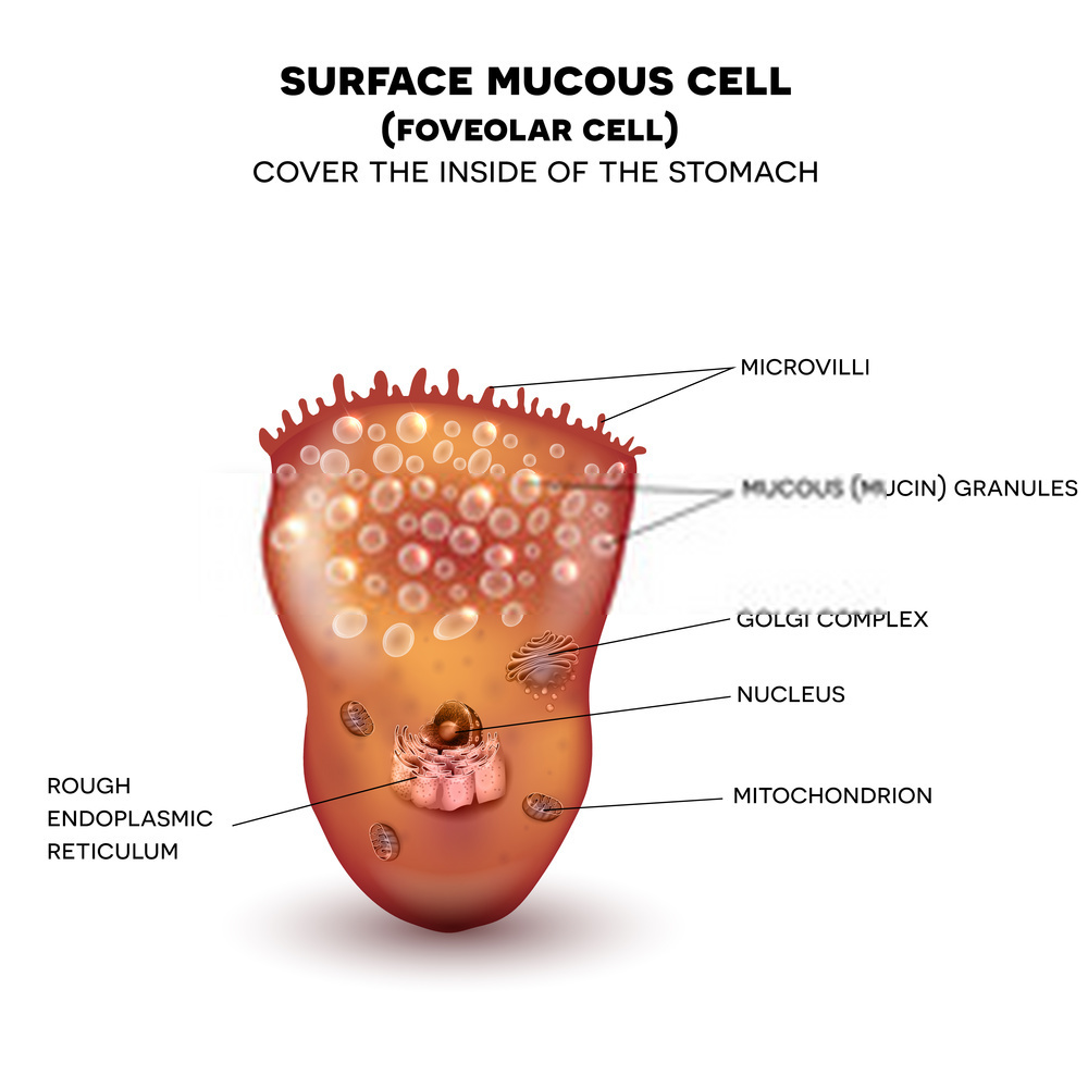 What Foods Can Reduce Mucus?