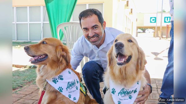 Pet Stop, ação de cuidado animal, chega na Região da Vila Galvão neste fim de semana