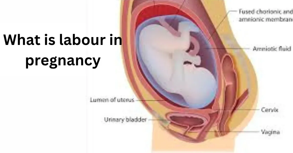 What is labour in pregnancy