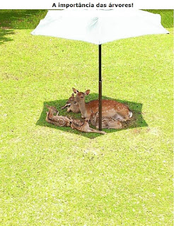 Foto em dia de sol forte. No gramado bem aparado, ao centro, um guarda-sol branco aberto, na sombra, uma corça( animal de pelagem curta, avermelhada com pintas brancas) rodeada pelos quatro filhotes todos deitados. No topo, lê-se: A importância das árvores!