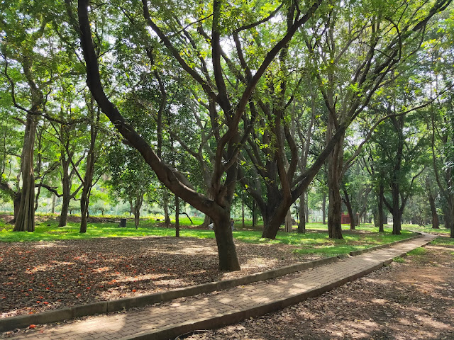 cubbon park bangalore