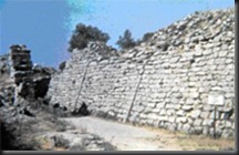 clip_image010