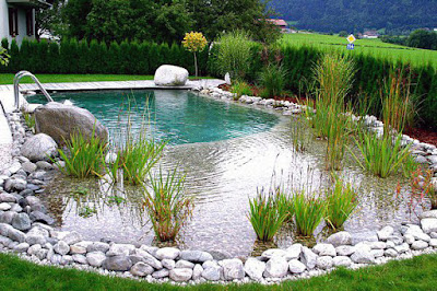 Eco pool design ideas