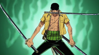 roronoa zoro technic piture