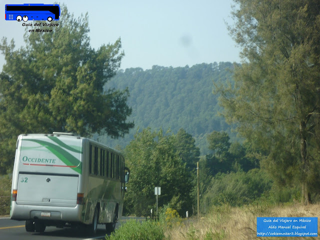 Occidente en el bosque Michoacano