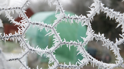 Wire netting with frost