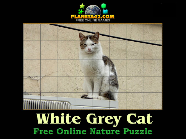 White Grey Cat Puzzle