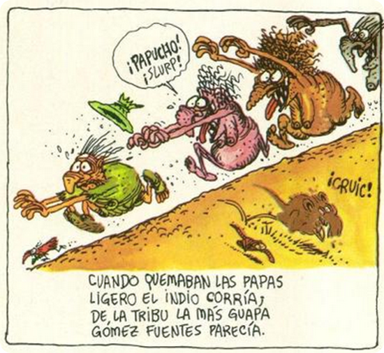 tabare paja brava2