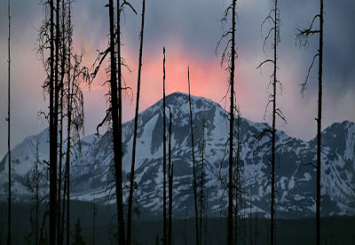 Yellowstone