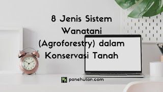 8 Jenis Sistem Wanatani (Agroforestry) dalam Konservasi Tanah