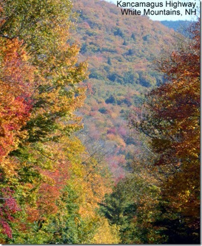 Kancamagus Highway, White Mountains, NH