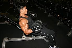 workout for bigger biceps