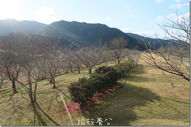 日本四國 中村 四萬十川 (30)