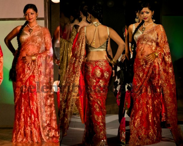 Sheer Saree for Night Parties