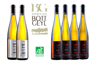 Retrouvez les vins d'alsace du domaine Bott Geyl en vente sur le site internet Jecreemacave.com par Di Vin