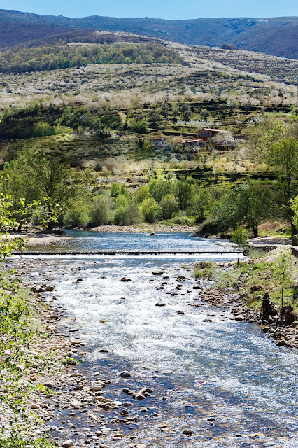 El Valle del Jerte en floración II. El Valle del Agua 