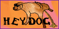 Blog Hey! Dog