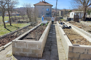 Lots of work in the raised beds