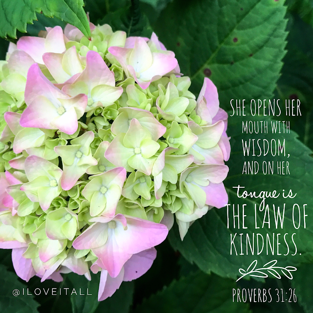 #proverbs #bible verse #iloveitall #kindness #hydrangea #faith #bible