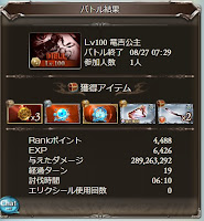 5_土有利古戦場_HELL100フルオート_両面マグナ_バトル結果.jpg