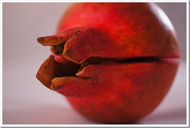 pomegranate-royalty-free-pictures-1 (1700) pomegranate-royalty-free-pictures-1 (1700)