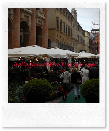 igl Vicenza centro