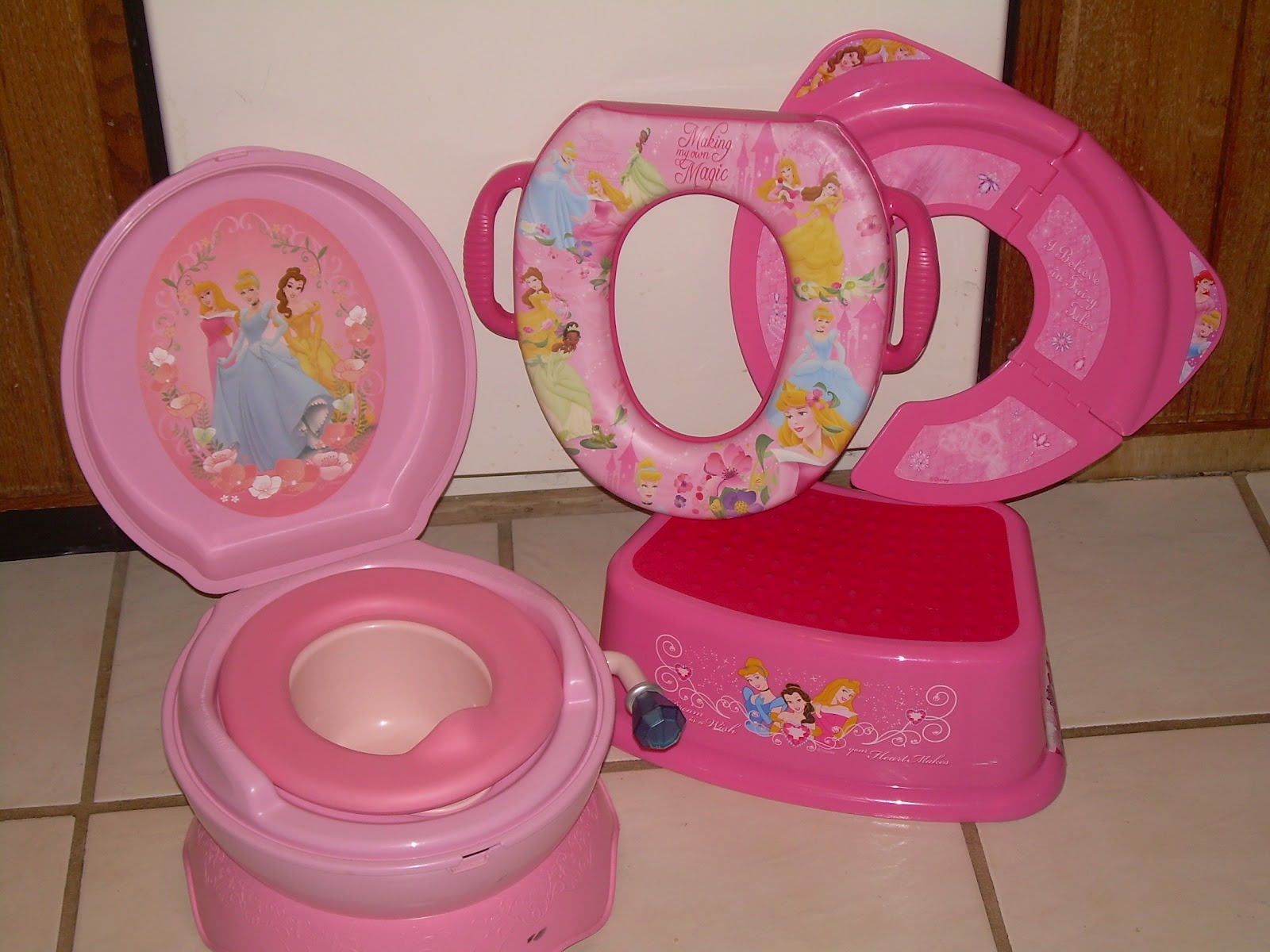 My Mid Life Motherhood All Aboard The Potty Train